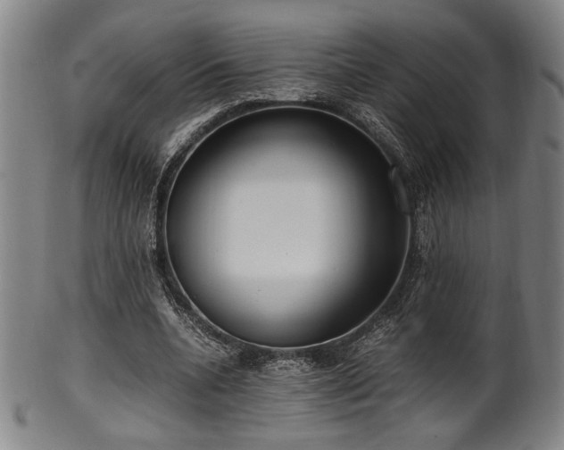 X0000100350536200806061116