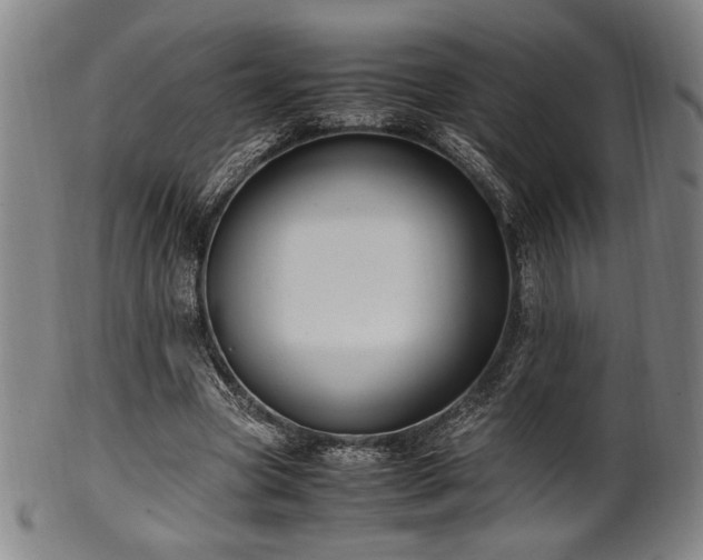 X0000100350537200806061116