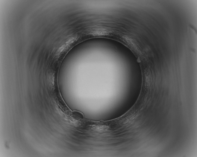 X0000100350539200806061116