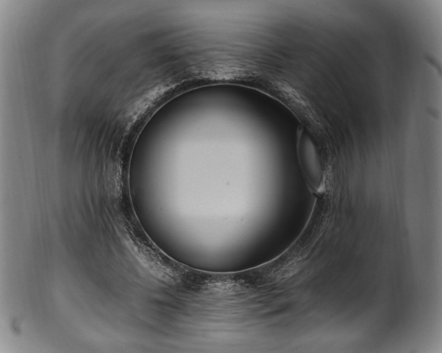 X0000100350540200806061116
