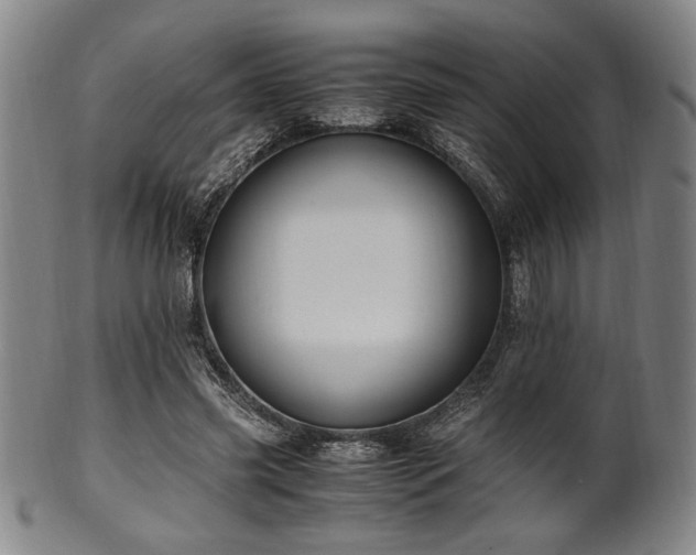X0000100350541200806061116
