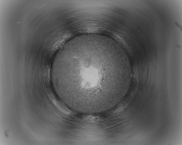 X0000100350542200806061116