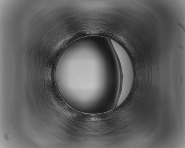 X0000100350543200806061116