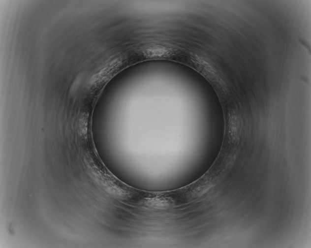 X0000100350545200806061116