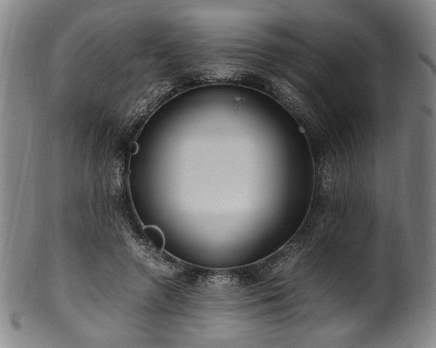X0000100350546200806061116