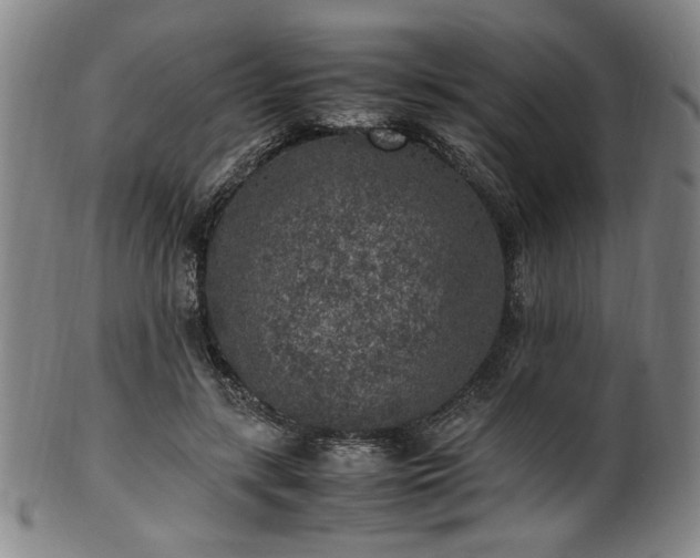 X0000100350547200806061116