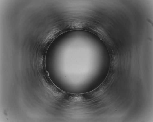 X0000100350548200806061116