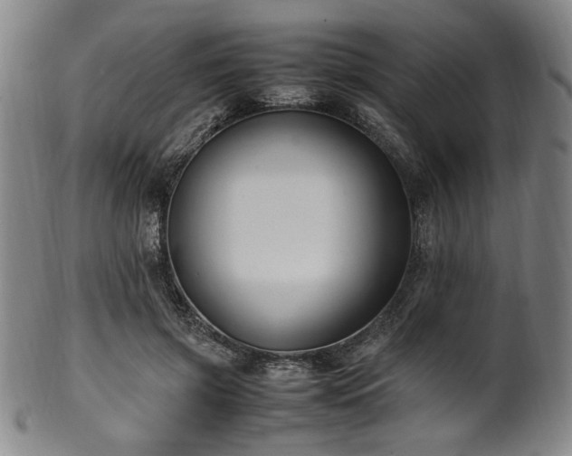 X0000100350549200806061116