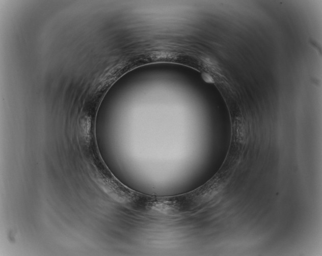 X0000100350550200806061116