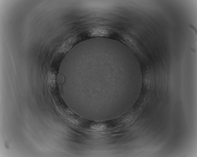 X0000100350551200806061116