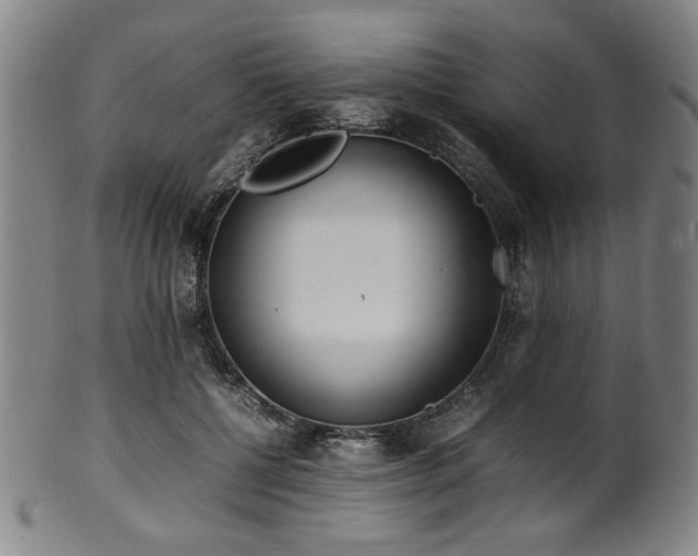 X0000100350552200806061116