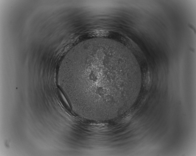 X0000100350553200806061116