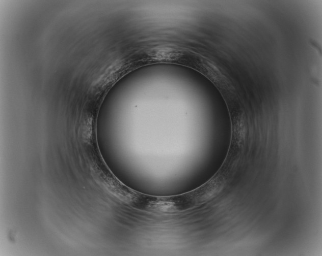 X0000100350554200806061116