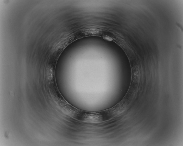 X0000100350555200806061116