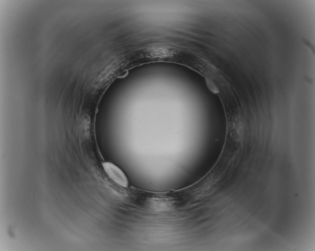 X0000100350556200806061117