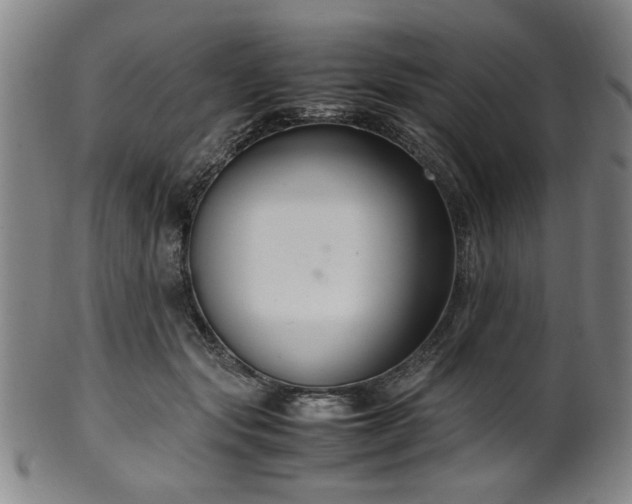 X0000100350557200806061117