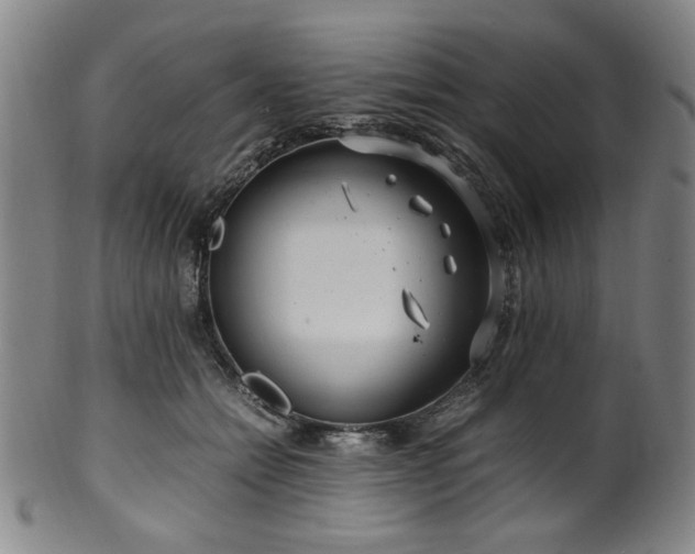 X0000100350558200806061117