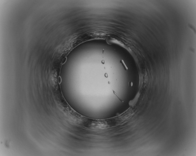X0000100350559200806061117