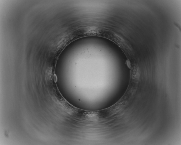 X0000100350560200806061117