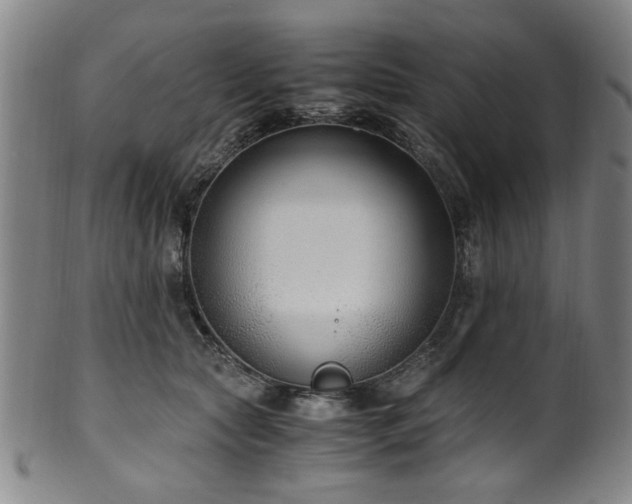 X0000100350561200806061117