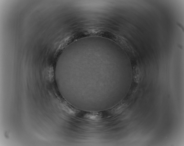 X0000100350563200806061117