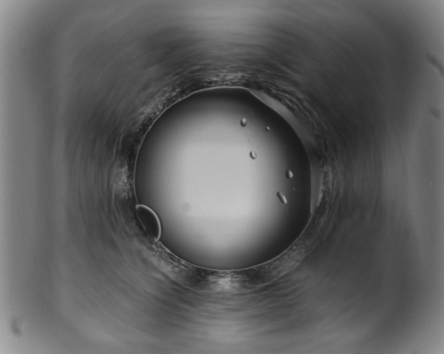 X0000100350564200806061117
