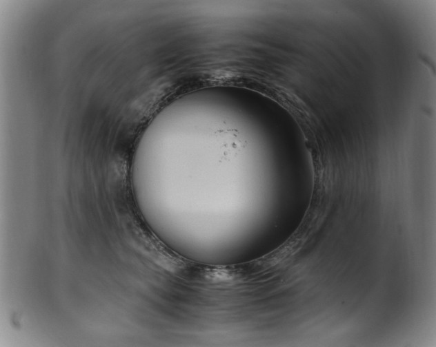 X0000100350565200806061117