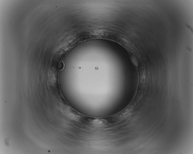 X0000100350566200806061117