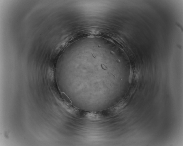 X0000100350568200806061117