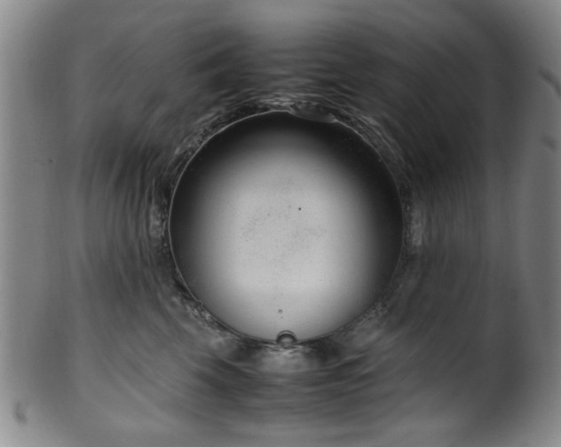 X0000100350569200806061117