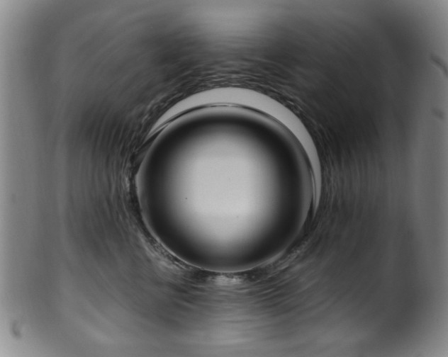 X0000100350570200806061117