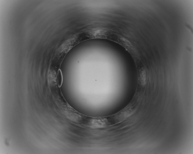 X0000100350571200806061117