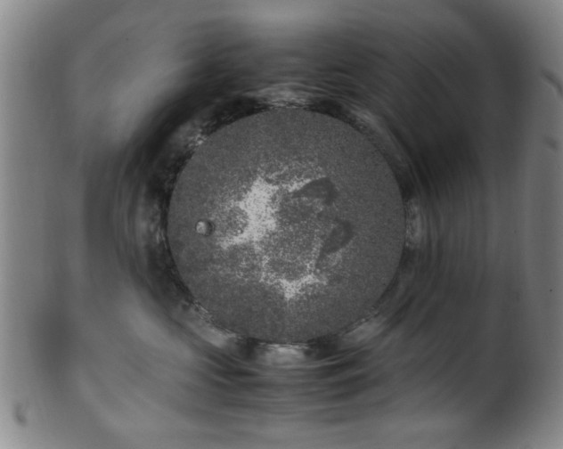 X0000100350573200806061117