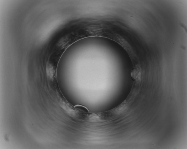 X0000100350574200806061117