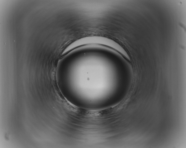 X0000100350576200806061117