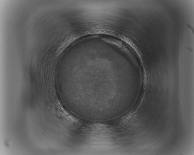 X0000100350577200806061116