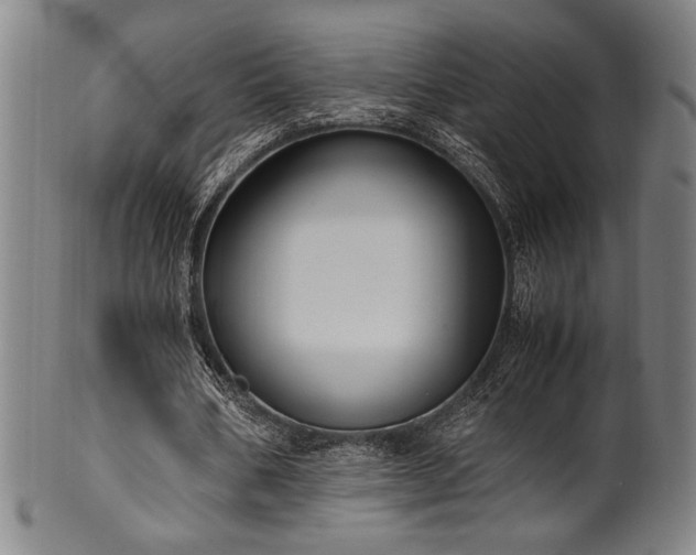 X0000100350578200806061116