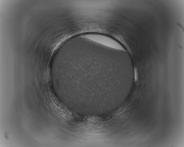 X0000100350579200806061116
