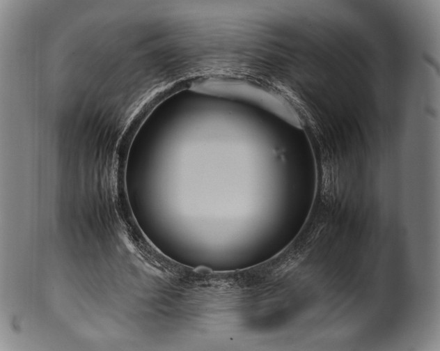 X0000100350580200806061116