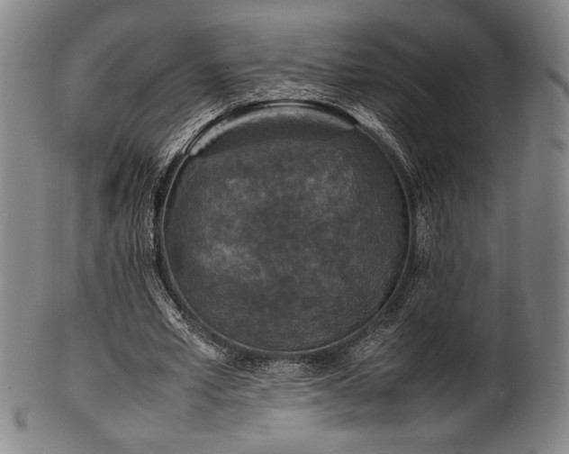 X0000100350581200806061116