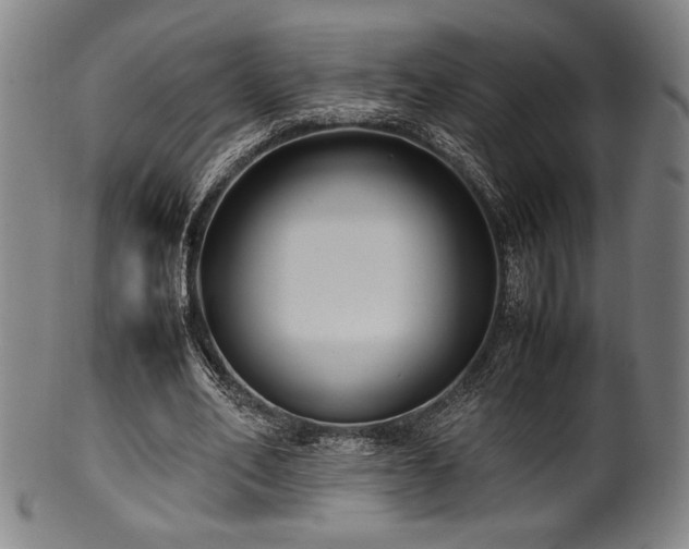 X0000100350582200806061116