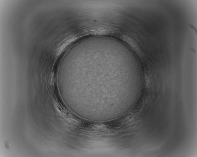 X0000100350583200806061116