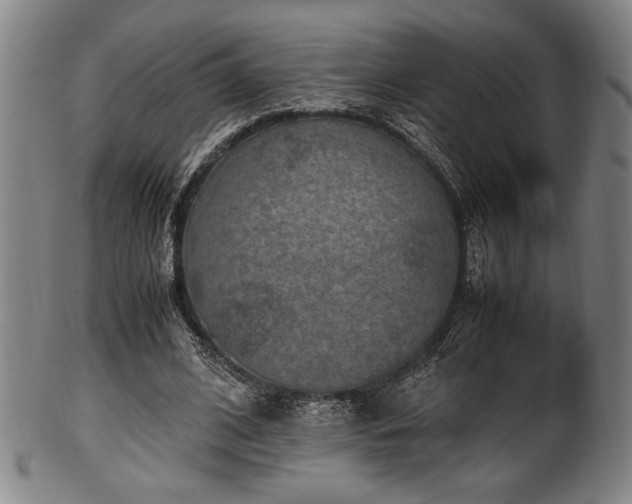 X0000100350584200806061116