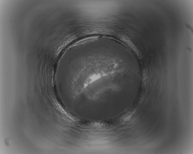 X0000100350585200806061116