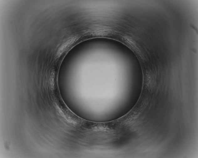 X0000100350586200806061116