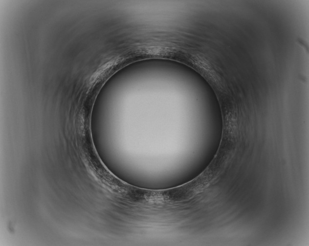 X0000100350587200806061116