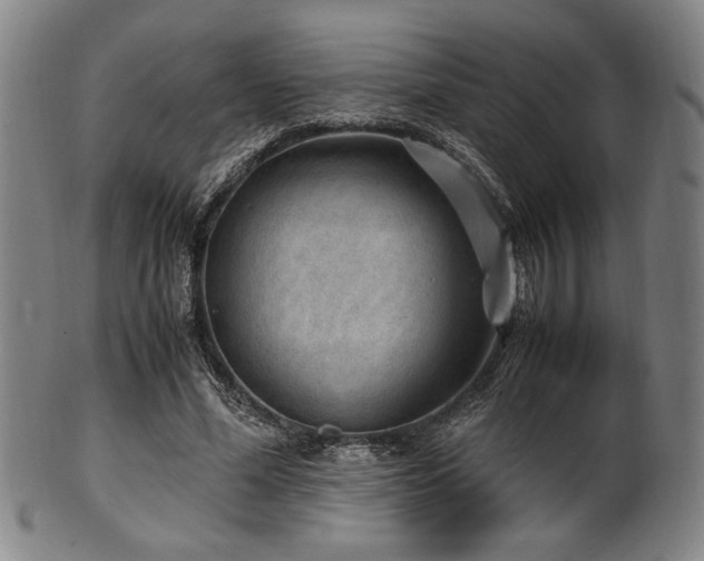 X0000100350588200806061116