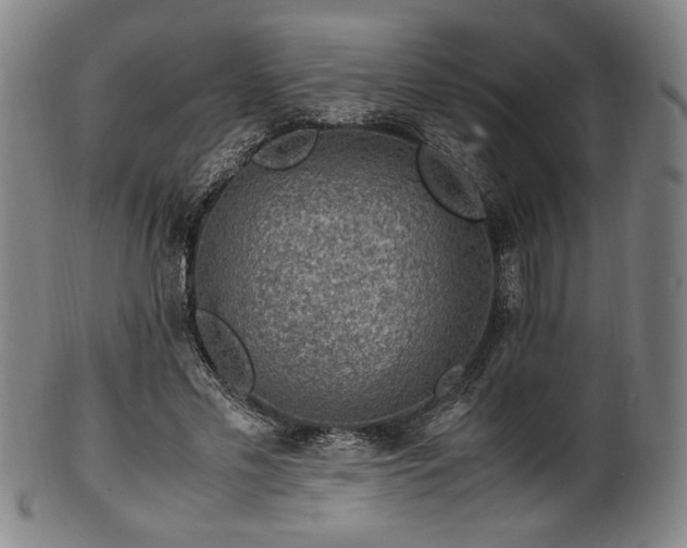 X0000100350589200806061116
