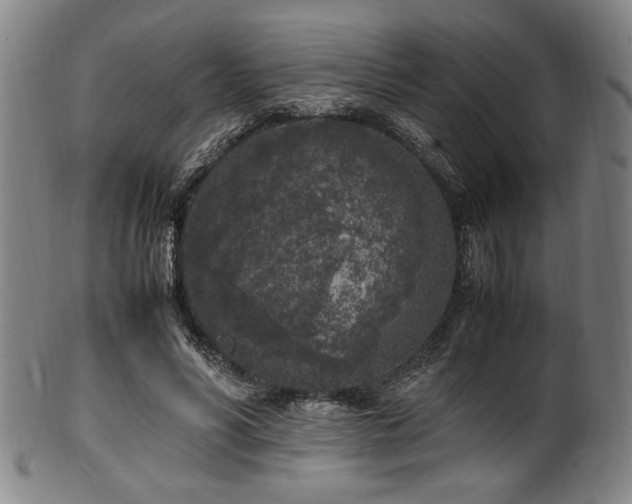 X0000100350590200806061116
