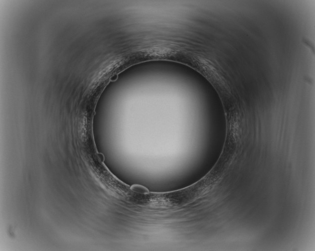 X0000100350591200806061116